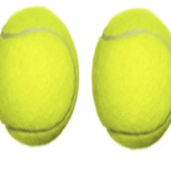 DID Tennis Balls  2 Pack